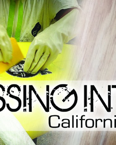 Glassing Card Montage Slider